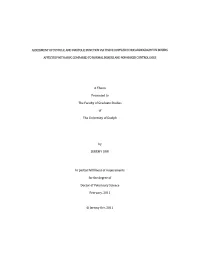 Assessment of Systolic and Diastolic Function Vta Tissue Doppler Echocardiography in Boxers