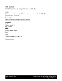 Mechanisms of Salmonella Attachment and Survival on In-Shell Black Peppercorns, Almonds, and Hazelnuts