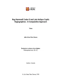 Nag Hammadi Codex V and Late Antique Coptic Hagiographies : a Comparative Approach