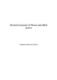 Revised Taxonomy of Phoma and Allied Genera