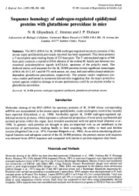 Sequence Homology of Androgen-Regulated Epididymal Proteins with Glutathione Peroxidase in Mice N