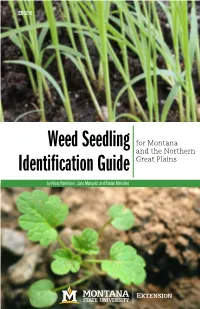 Weed Seedling Identification Guide This Guide Is Not a Complete List of All the Weeds to Be Found in Croplands Or Rangelands