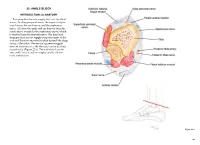 22. Ankle Block