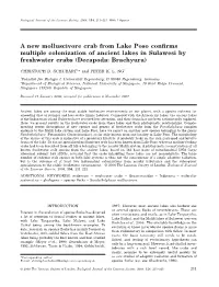 A New Molluscivore Crab from Lake Poso Conﬁrms Multiple Colonization of Ancient Lakes in Sulawesi by Freshwater Crabs (Decapoda: Brachyura)