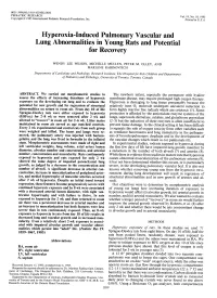 Hyperoxia-Induced Pulmonary Vascular and Lung Abnormalities in Young Rats and Potential for Recovery