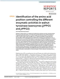Identification of the Amino Acid Position Controlling the Different