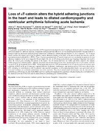 Loss of At-Catenin Alters the Hybrid Adhering Junctions in the Heart and Leads to Dilated Cardiomyopathy and Ventricular Arrhythmia Following Acute Ischemia