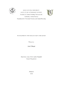 O'reganthesis.Pdf (528.7Kb)