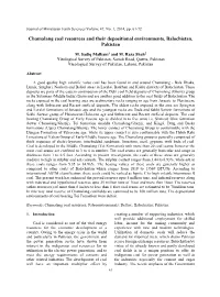 Chamalang Coal Resources and Their Depositional Environments, Balochistan, Pakistan