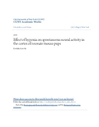 Effect of Hypoxia on Spontaneous Neural Activity in the Cortex of Neonate Mouse Pups Krithikka Ravi Ms
