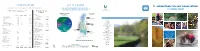 2011 at a Glance Nonprofit Org