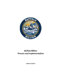 Buffalo Billion Process and Implementation
