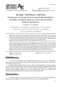 Texto Completo (Pdf)