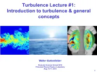 Turbulence #1