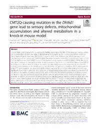 CMT2Q-Causing Mutation in the Dhtkd1 Gene Lead to Sensory