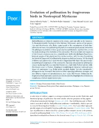 Evolution of Pollination by Frugivorous Birds in Neotropical Myrtaceae