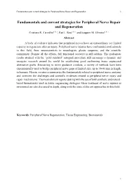 Fundamentals and Current Strategies for Peripheral Nerve Repair and Regeneration 1