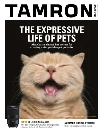 Summer 2018 Issue 3