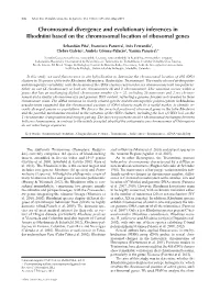 Chromosomal Divergence and Evolutionary Inferences in Rhodniini Based on the Chromosomal Location of Ribosomal Genes