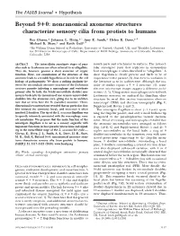 Noncanonical Axoneme Structures Characterize Sensory Cilia from Protists to Humans