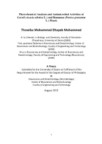 Thowiba Mohammed Eltayeb Mohammed