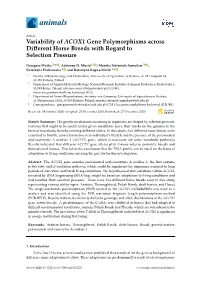 Variability of ACOX1 Gene Polymorphisms Across Different