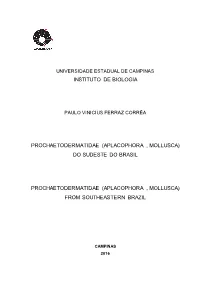 Instituto De Biologia Prochaetodermatidae (Aplacophora , Mollusca) Do Sudeste Do Brasil Prochaetodermatidae (Aplacophora , Mollu