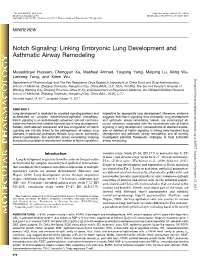 Notch Signaling: Linking Embryonic Lung Development and Asthmatic Airway Remodeling