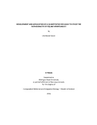Development and Application of a Quantitative Pcr Assay to Study the Pathogenicity of Equine Herpesvirus 5