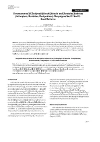 (Orthoptera, Acrididae, Oedipodinae). Karyotypes and C- and G