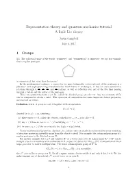 Representation Theory and Quantum Mechanics Tutorial a Little Lie Theory