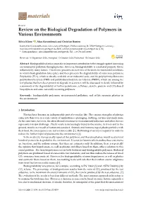 Review on the Biological Degradation of Polymers in Various Environments