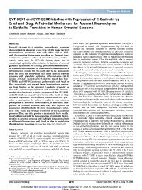 SYT-SSX1 and SYT-SSX2 Interfere with Repression of E-Cadherin by Snail and Slug