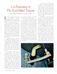 The Keel ... Billed Toucan the Flight, Making Repeated Visits to Th Nest While Purring
