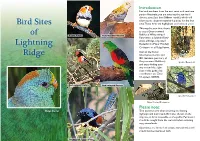 Bird Sites of Lightning Ridge