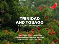 Experience the Energy, Creativity and Diversity That Is Uniquely Trinidad and Tobago: Many Hearts, Many Voices, One Vision