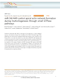 Mir-34/449 Control Apical Actin Network Formation During Multiciliogenesis Through Small Gtpase Pathways