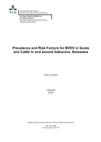 Prevalence and Risk Factors for BVDV in Goats and Cattle in and Around Gaborone, Botswana