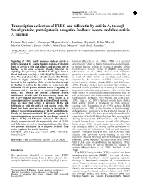 Transcription Activation of FLRG and Follistatin by Activin A, Through Smad Proteins, Participates in a Negative Feedback Loop to Modulate Activin a Function