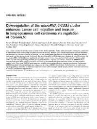 133A Cluster Enhances Cancer Cell Migration and Invasion in Lung-Squamous Cell Carcinoma Via Regulation of Coronin1c