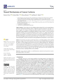 Neural Mechanisms of Cancer Cachexia