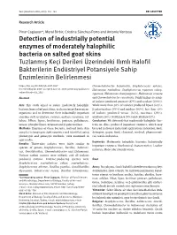 Detection of Industrially Potential Enzymes of Moderately Halophilic