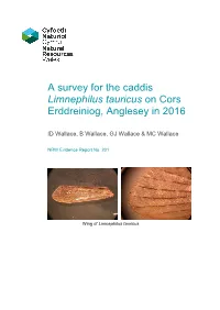 A Survey for the Caddis Limnephilus Tauricus on Cors Erddreiniog, Anglesey in 2016