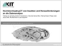 Tomography and Online Reconstruction
