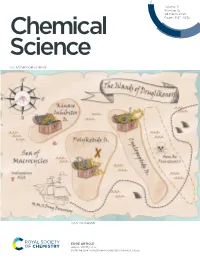 Defining and Navigating Macrocycle Chemical Space