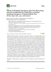Effects of Skidding Operations After Tree Harvesting and Soil Scarification by Felled Trees on Initial Seedling Emergence Of