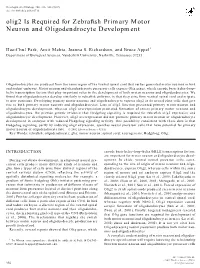 Olig2 Is Required for Zebrafish Primary Motor Neuron and Oligodendrocyte Development