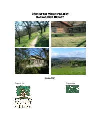 Open Space Vision Project Background Report