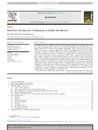 Structure and Function of Legumain in Health and Disease