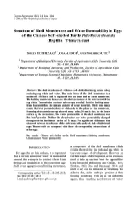Structure of Shell Membranes and Water Permeability in Eggs of the Chinese Soft-Shelled Turtle Pelodiscus Sinensis (Reptilia: Trionychidae)